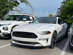 2023 Ford Mustang EcoBoost Premium - NITE PONY PKG / AMBIENT LIGHTING