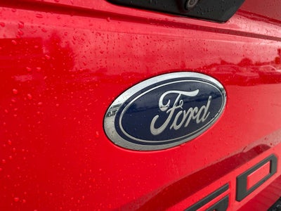 2019 Ford F-150 XL - STX APPEARANCE PKG / 26 MPG HWY