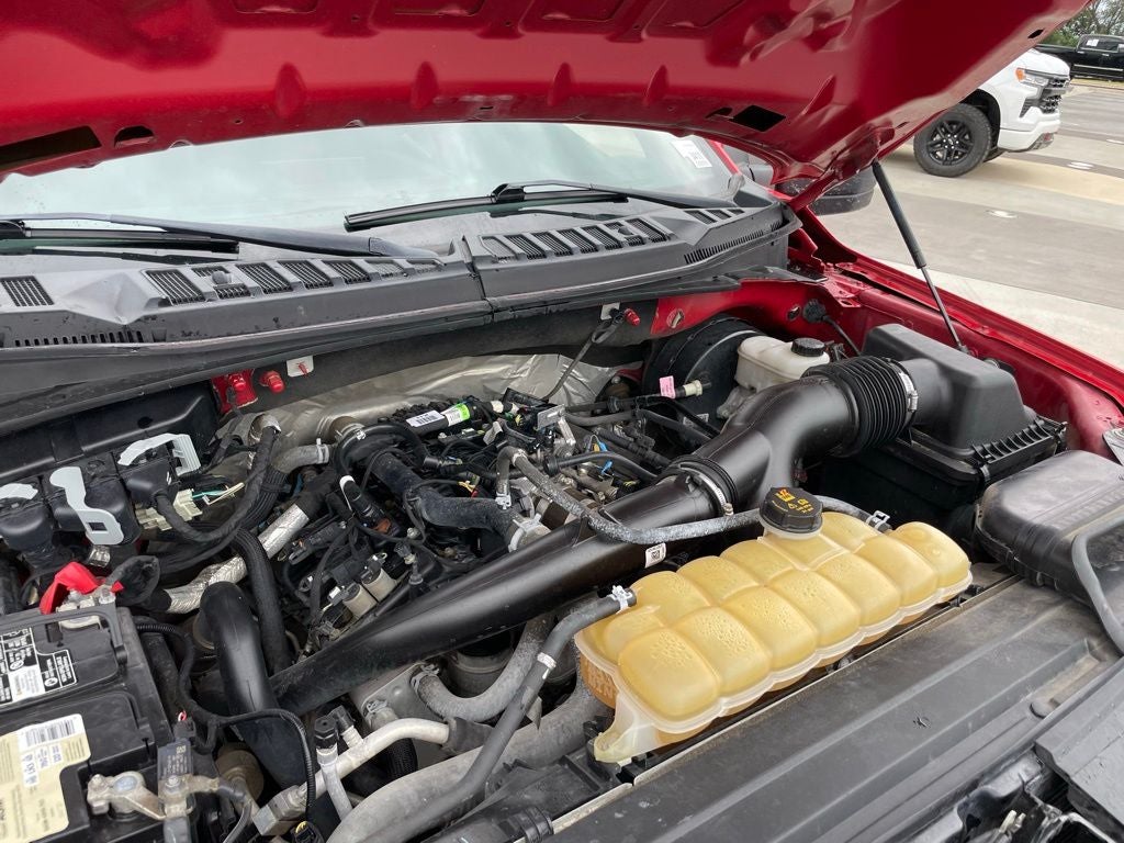 2019 Ford F-150 XL - STX APPEARANCE PKG / 26 MPG HWY