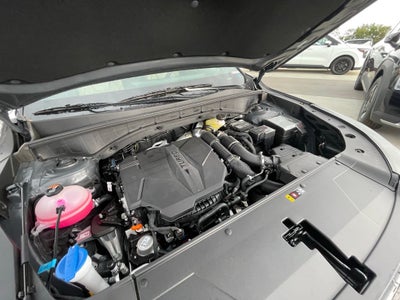 2026 Kia Sorento X-Line SX Prestige - Olive Brown Leather Pkg