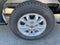 2025 Ford Transit-350 XLT