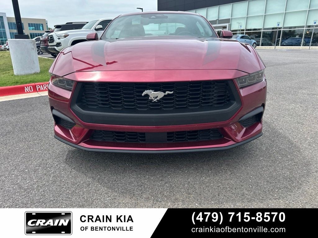 2025 Ford Mustang EcoBoost - CLEAN CARFAX / ONE OWNER