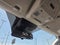 2025 Ford Transit Cargo Van T250 RWD LOW RF